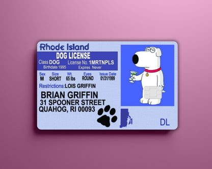 Brian Drivers License Card Cover