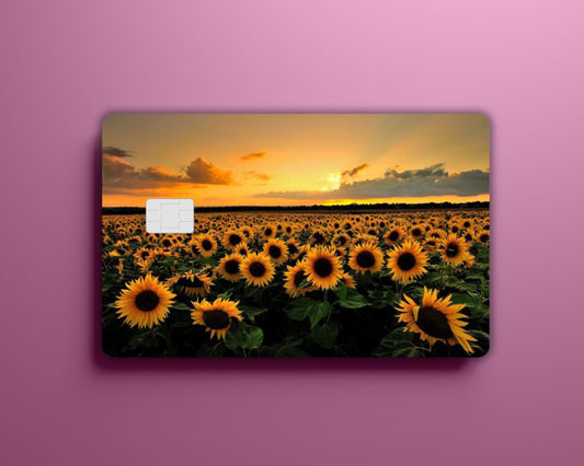 Sunflower Field Card Cover