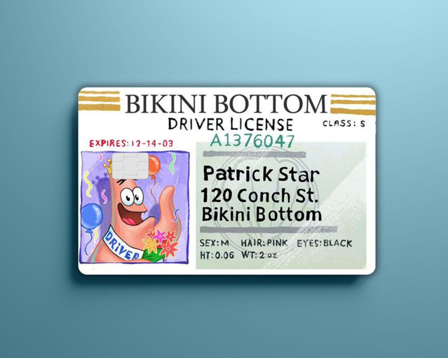 Birthday Patrick License Card Cover