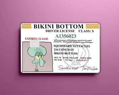 Sponge Card Cover