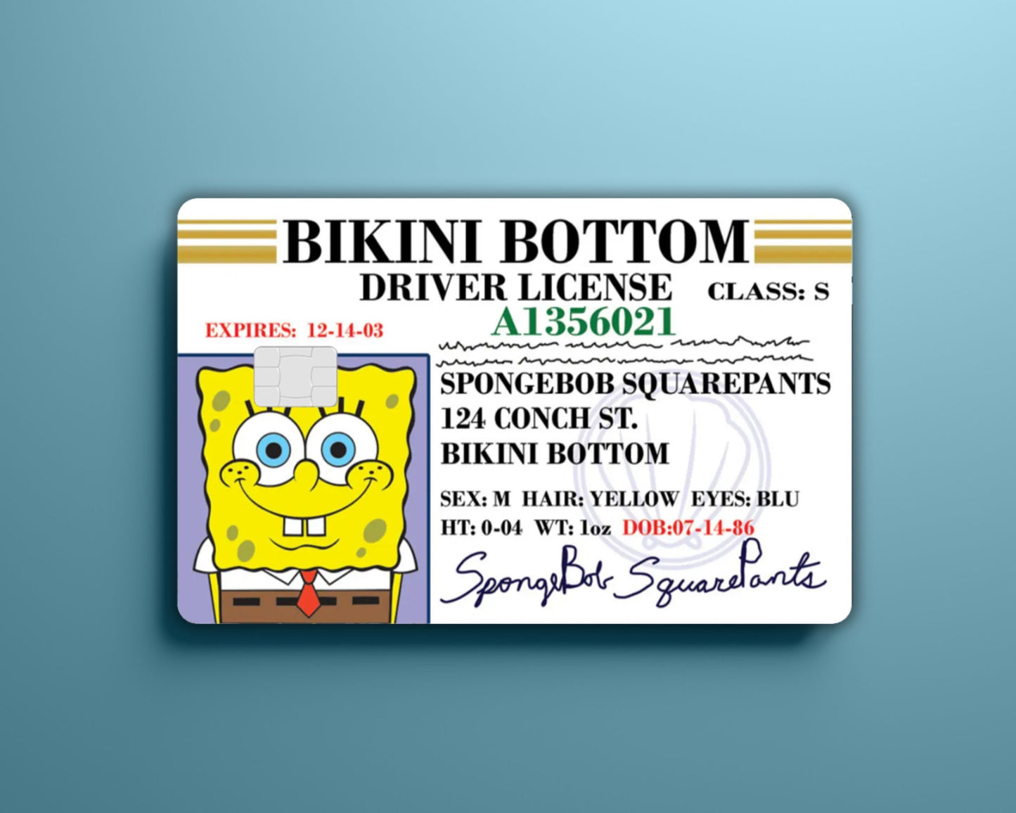 Sponge Card Cover
