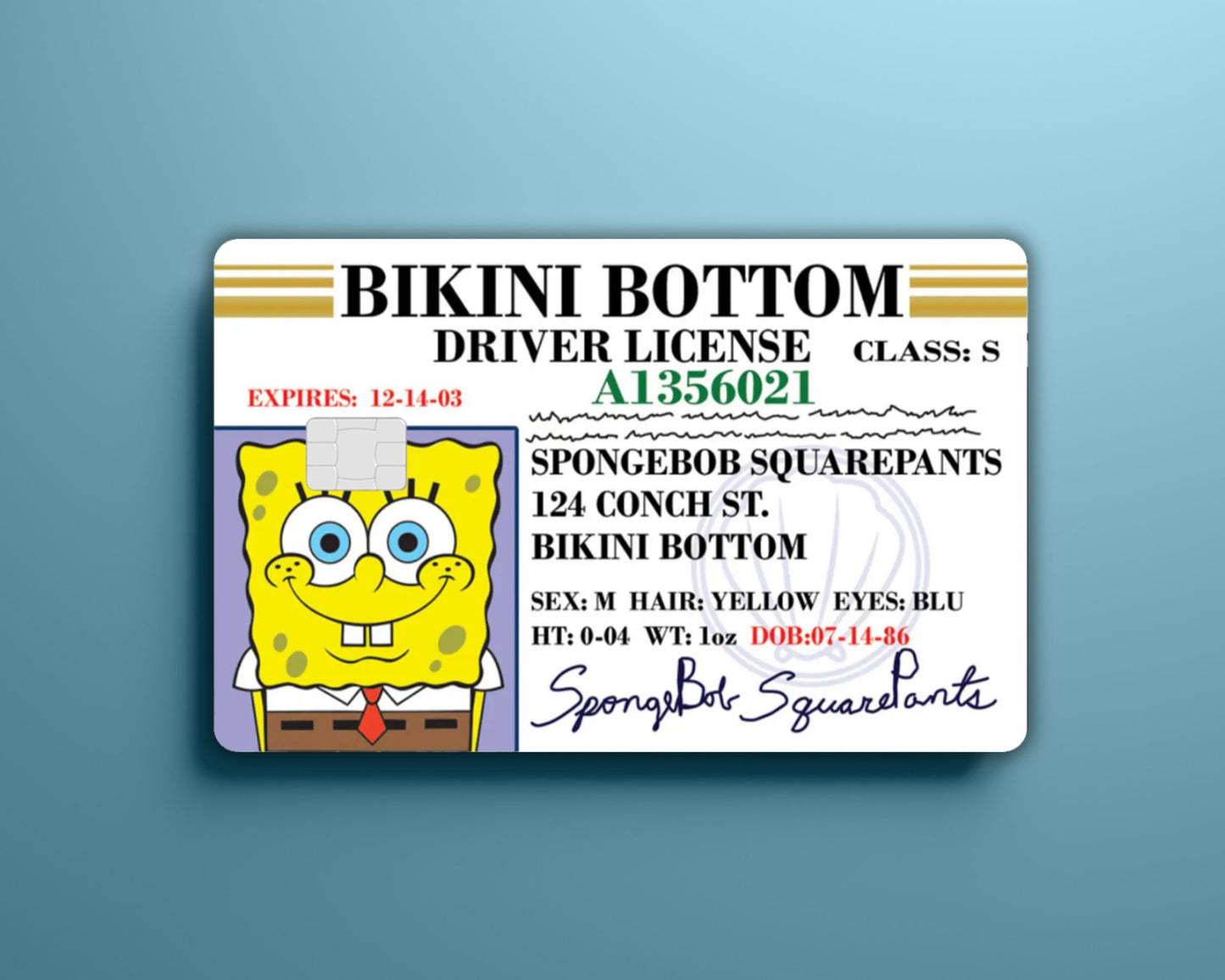 SpongeBob License Card Skin