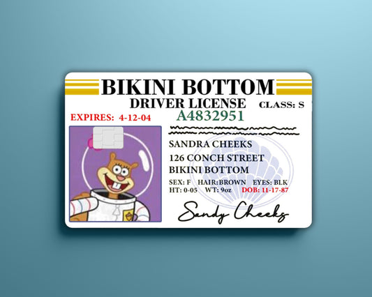 Sandy Cheeks License Card Cover