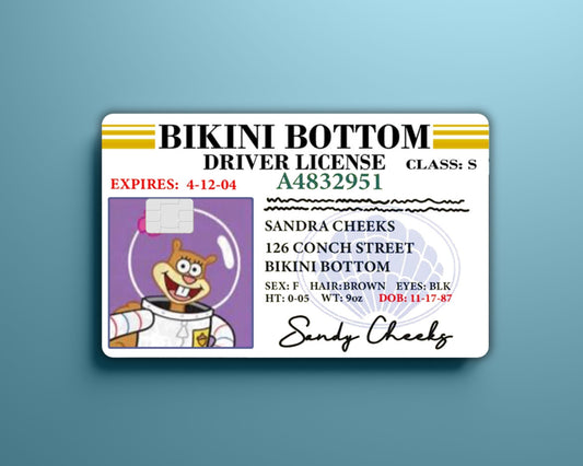 Sandy License Card Skin